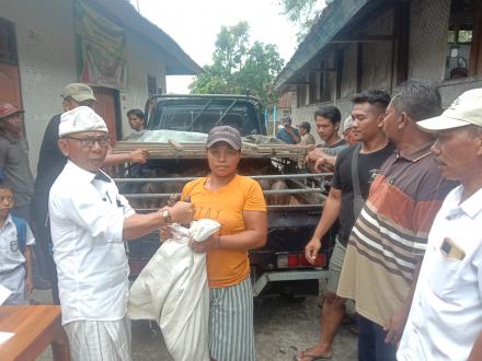 Program Kegiatan Penguatan Ketahanan Pangan,Penyerahan 170 Bibit Babi di Desa Ularan